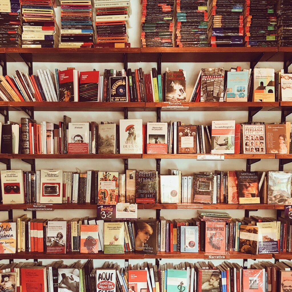 A vibrant collection of books neatly arranged on wooden shelves in a cozy library setting.